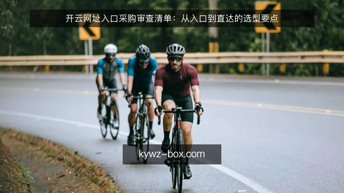 开云网址入口采购审查清单：从入口到直达的选型要点