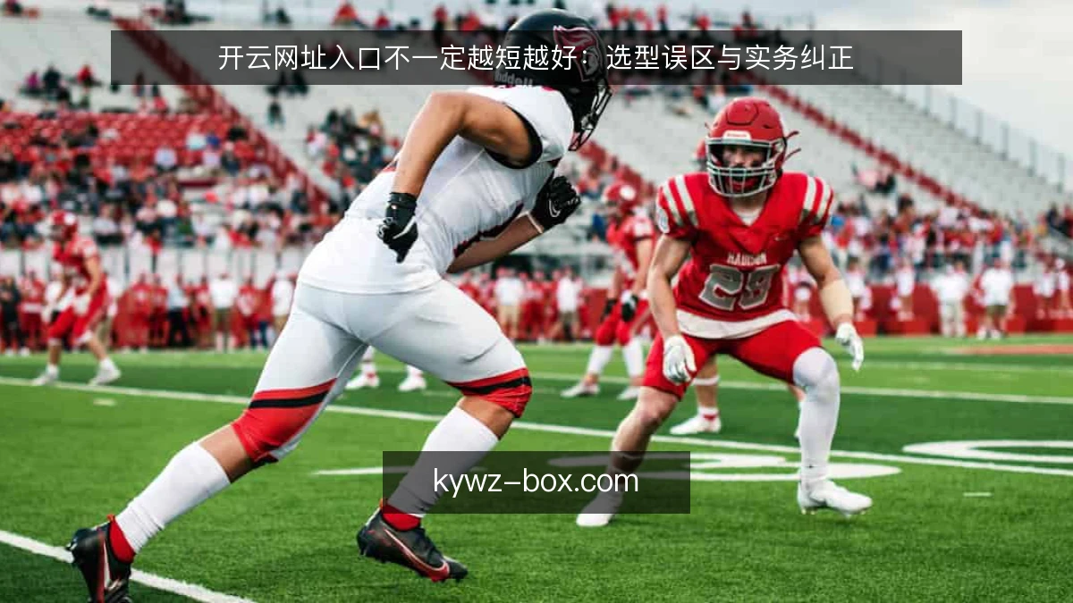 开云网址入口不一定越短越好：选型误区与实务纠正