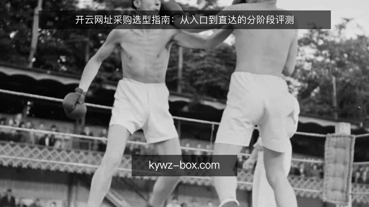 开云网址采购选型指南：从入口到直达的分阶段评测