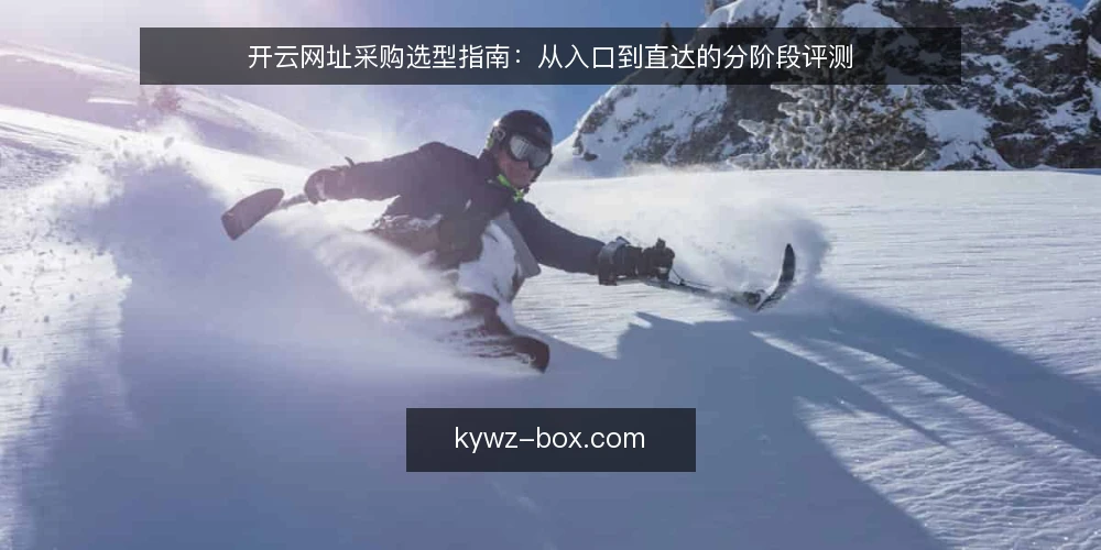开云网址采购选型指南:从入口到直达的分阶段评测 — 基线:明确访问需求与使用场景 配图