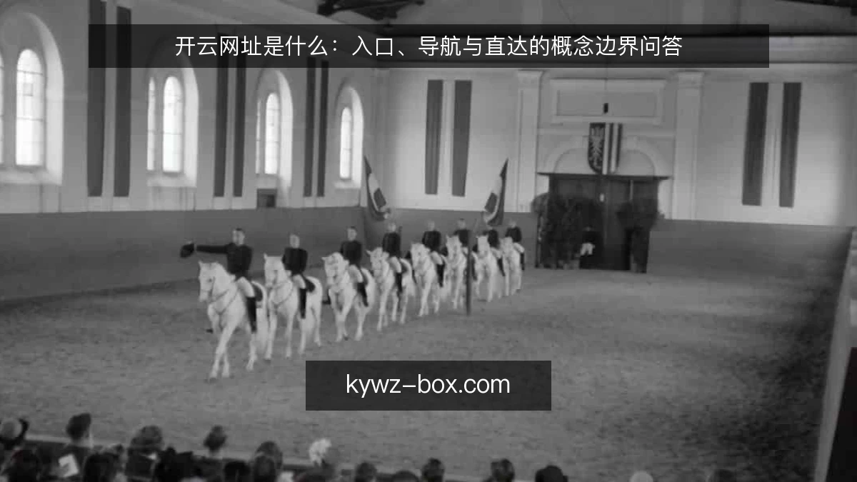 开云网址是什么:入口、导航与直达的概念边界问答
