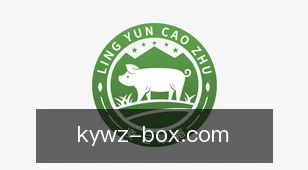 开云网址